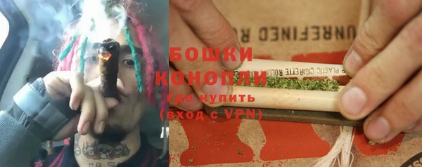 стаф Барнаул