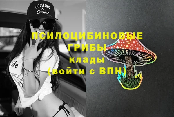 дмт Ижевск