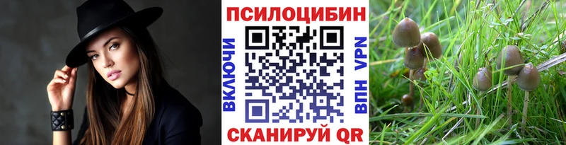 Псилоцибиновые грибы GOLDEN TEACHER Абаза